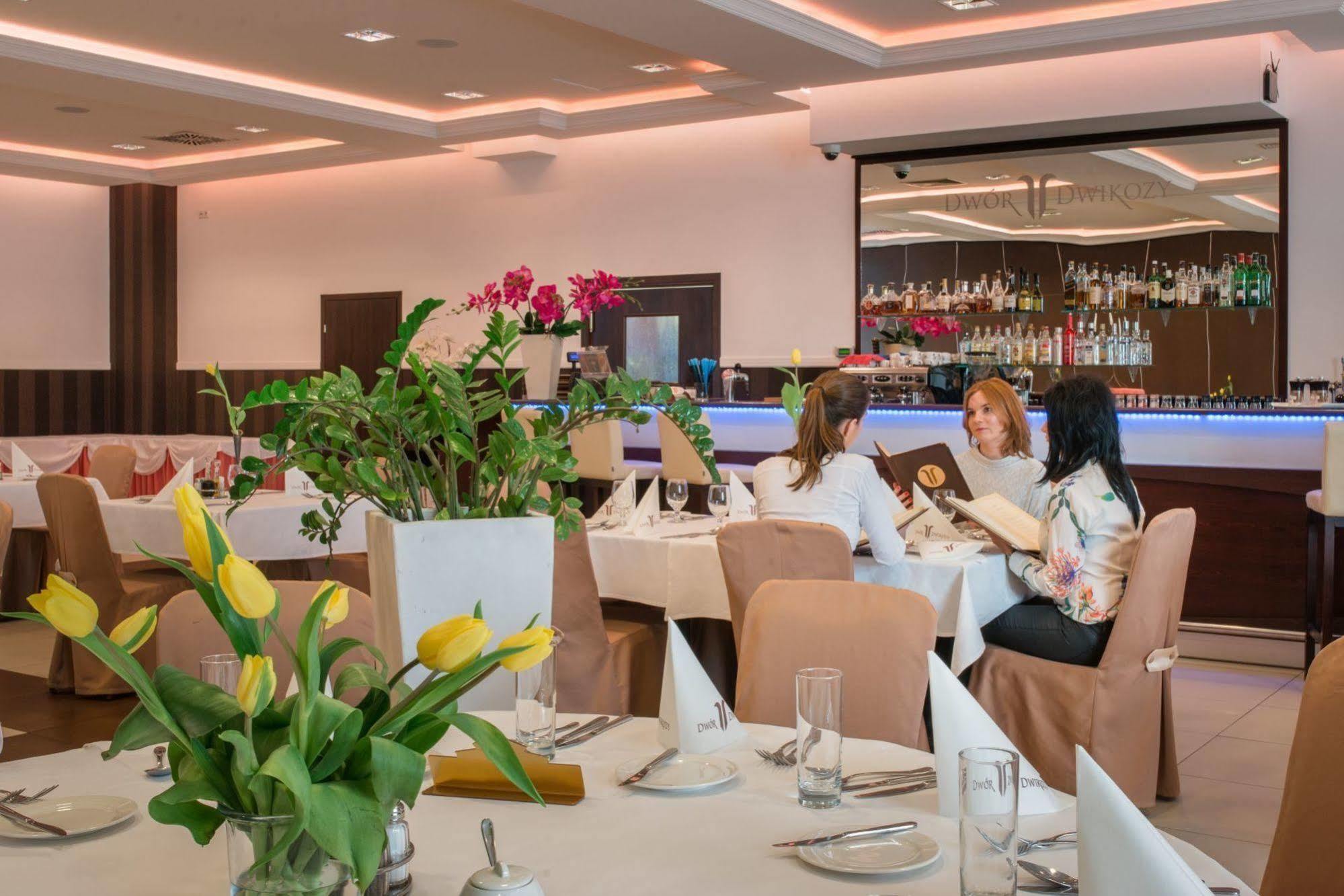 Dwor Dwikozy Hotel Kültér fotó